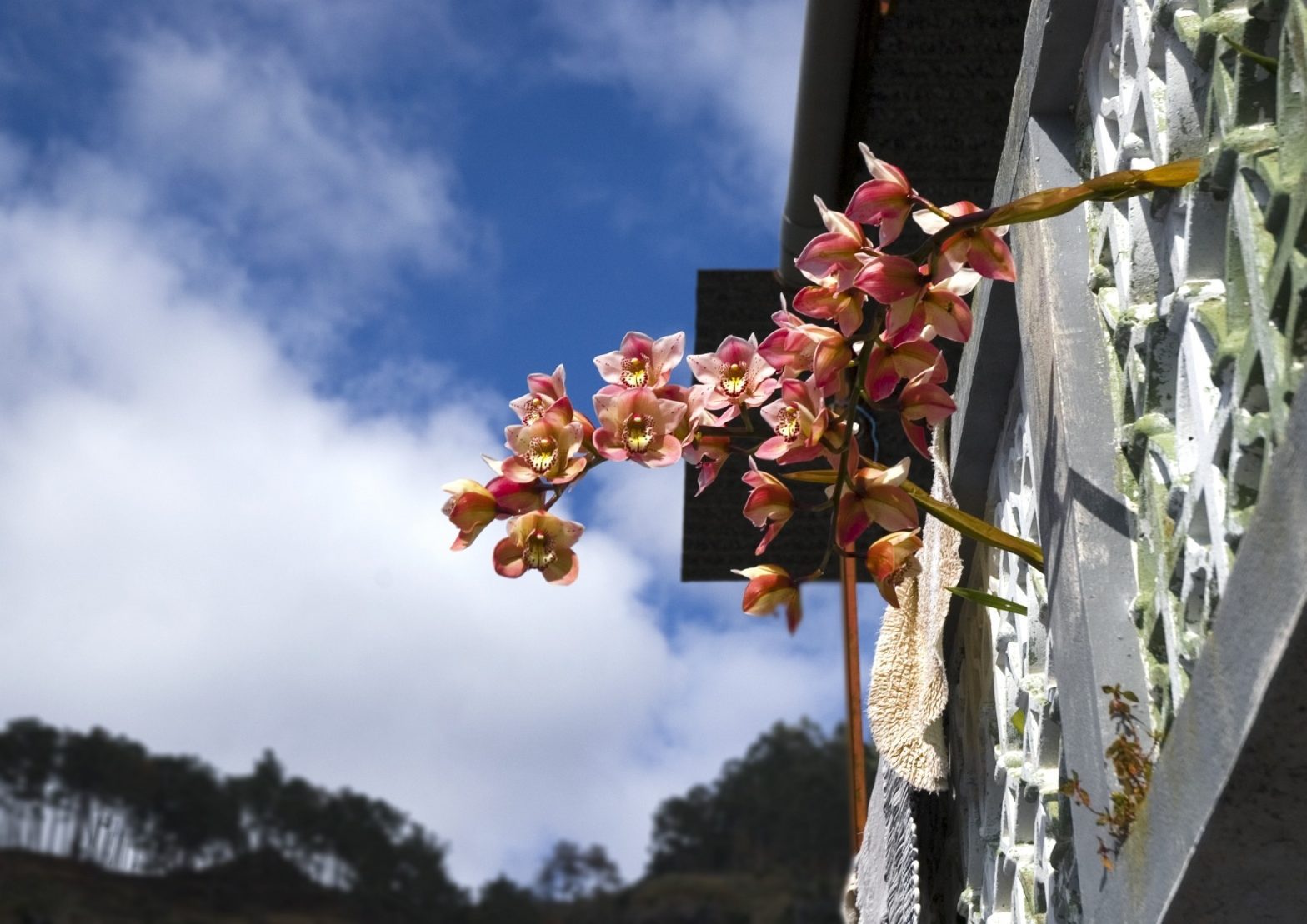 Madeira